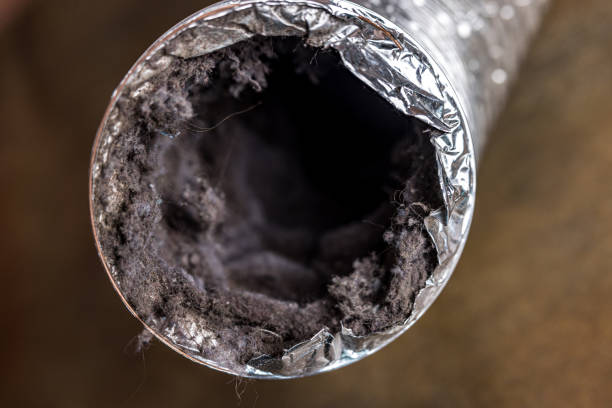Best Residential Air Duct Cleaning  in Borger, TX